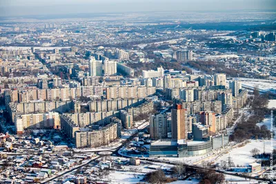 Вячеслав Гладков предложил сделать в Архиерейской роще в Белгороде тропу  здоровья - МК Белгород