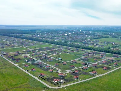 Возле Архиерейской рощи в Белгороде строят многоэтажку и вырубают деревья.  Законно ли это? — FONAR.TV