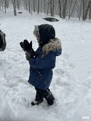 В Белгороде подготовили проект обновления Архиерейской рощи. Новости  общества