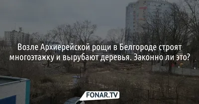 В Белгородской области к субботнику в Архиерейской роще присоединился  аграрный университет | 24.04.2021 | Белгород - БезФормата