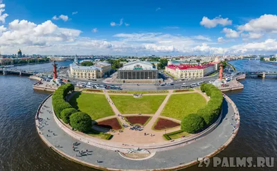 Архитектурные детали фасадов Санкт-Петербурга. XVIII век | Возняк Екатерина  Рюриковна - купить с доставкой по выгодным ценам в интернет-магазине OZON  (1152444882)