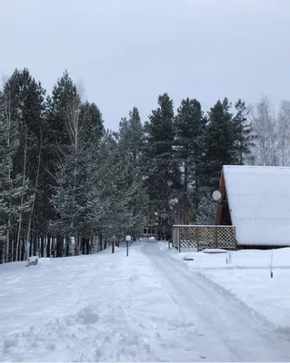 База отдыха Армиево - Пензенская область (Официальный сайт, цены, фото,  отзывы)