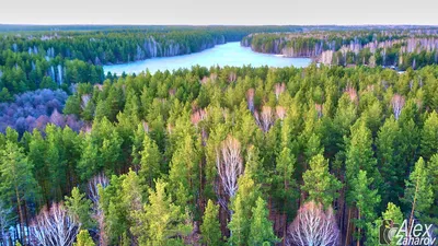 Хотите снять дом с баней? Армиево: баня и домики в Пензе