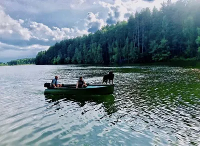 Путешествия по России | Интересное и красивое место для фотосъемки водосток  у пруда Армиево | Дзен