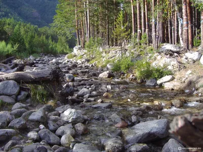 Путешествие к подножию Саян в Аршан — забронировать экскурсию онлайн |  CronTravel