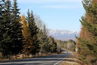 Экскурсия на Аршан - путешествие в Тункинские Альпы на сутки