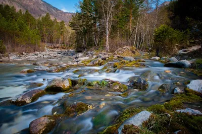 Аршан, горы Саяны🏞️ | Подслушано Иркутск | ВКонтакте