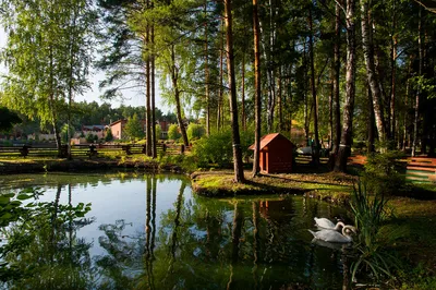 Загородный клуб ARTILAND- Официальный сайт клуба!