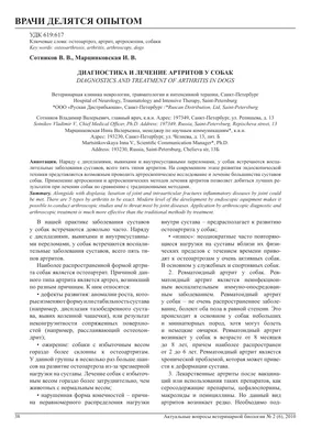 Бандаж для спины собак при артрите, бандаж для спины домашних животных при  внутривенно-регулируемом диагностическом диагностике, Защита спины,  облегчение боли, хирургическое восстановление и реабилитация | AliExpress