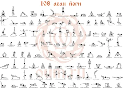 Техника выполнения сложных асан йоги: Бакасана, Ширшасана, Аштавакрасана и  другие. Первые шаги для новичков