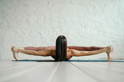 Yoga Loft by Yana Lev - Основы практики асан хатха-йоги Асана в переводе с  санскрита означает «поза». Изначально асана означала сидячую позу хатха йоги,  которая использовалась для практик медитации. А дословное значение