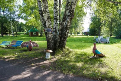 Прокуратура закрыла лагерь «Солнечный» в Ашмарино — Новости Новокузнецка  сегодня, новости дня, последние новости