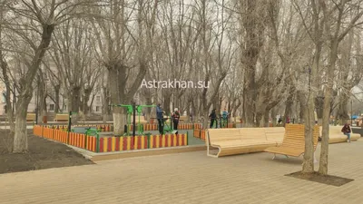 В Трусовском районе Астрахани в жёсткой аварии пострадали трое человек |  ДТП | происшествия | АиФ Астрахань