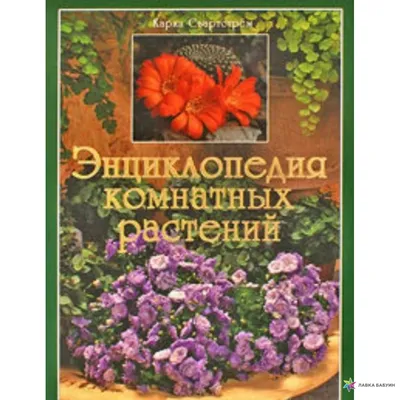 Новейшая энциклопедия комнатных растений_Девид Сквайр (ID#1508452068),  цена: 155 ₴, купить на Prom.ua