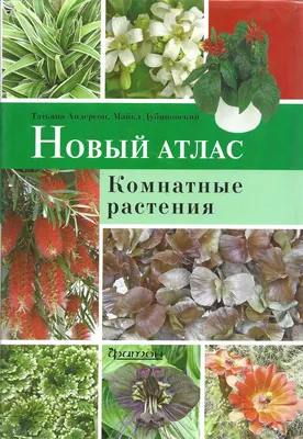 Новый атлас. Комнатные растения | Дубиновский Майкл, Андерсон Татьяна -  купить с доставкой по выгодным ценам в интернет-магазине OZON (1254085094)