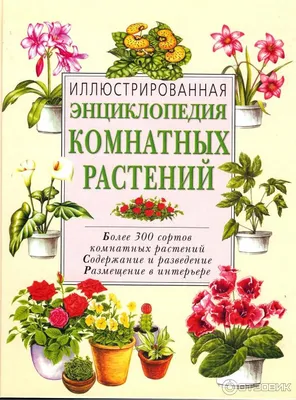 Энциклопедия комнатных растений — купить книги на русском языке в BooksMe в  Испании