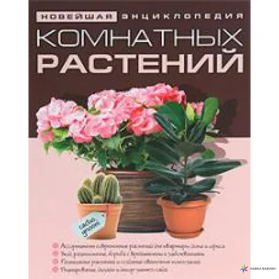 Иллюстрированная энциклопедия комнатных растений. Пол Вильямс. — Дом, сад,  огород - SkyLots (6590258291)