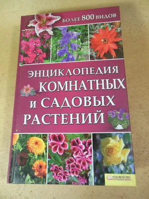 Энциклопедия комнатных растений — цена 159 грн в каталоге Дом и хобби ✓  Купить товары для спорта по доступной цене на Шафе | Украина #111198846