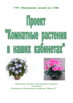 Энциклопедия комнатных и садовых растений. Более 800 видов — Книжный  интернет-магазин