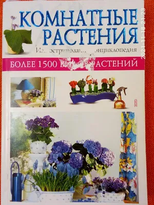 Иллюстрированная энциклопедия комнатных растений - купить с доставкой по  выгодным ценам в интернет-магазине OZON (716590494)