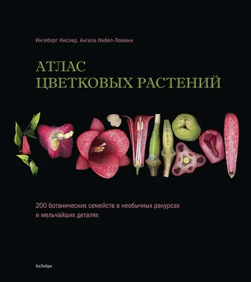 Энциклопедия комнатных и садовых растений. Более 800 видов, Бойчук Ю.Д. Лот  №6537420204 - купить на Crafta.ua