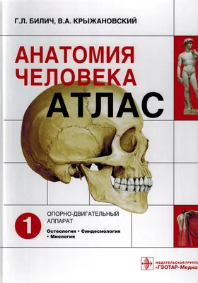 Кожные и венерические болезни. Атлас. Учебное пособие. Владимиров В.В. -  купить книгу с доставкой | Майшоп