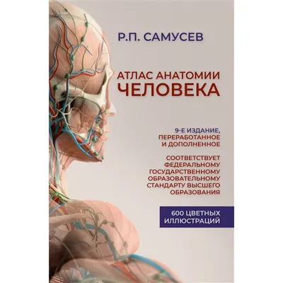 Эпидермальный или сально-железистый? — Курсы по дерматоскопии | Юрий Сергеев