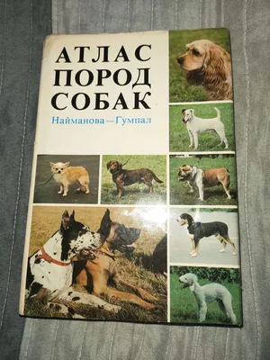 Атлас пород собак. Найманова - Гумпал: 250 грн. - Книги / журналы Днепр на  Olx