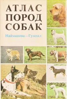 Книга \"Собаки. История. Мифы и легенды. Искусство. Атлас пород. Большая  иллюстрированная энциклопедия\" - купить книгу в интернет-магазине «Москва»  ISBN: 978-5-9603-0362-0, 925616