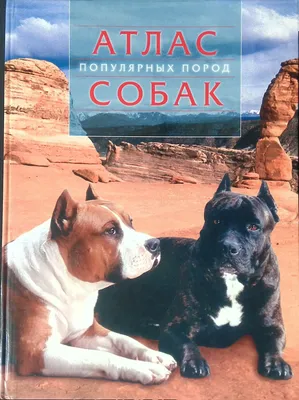 Все о породах собак. Атлас-справочник • Шаронов А. (ред.), купить по низкой  цене, читать отзывы в Book24.ru • Эксмо-АСТ • ISBN 978-5-9603-0198-5,  p6799030