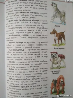 Ортопедия собак. Атлас ВОА.Диагностический подход с учетом породной  предрасположенности (Карло Мария Мортелларо) - купить книгу с доставкой в  интернет-магазине «Читай-город». ISBN: 978-5-42-380339-1