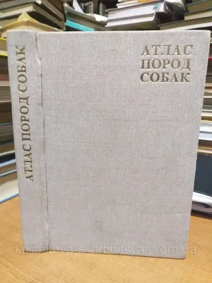 🥇8873 р. – Ferplast ATLAS 60 CLASSIC перевозка для собак крупных пород до  45 кг, 91 x 61 x 68 см купить в Калининграде с доставкой 🐈  Интернет-зоомагазин «КАТИКО»