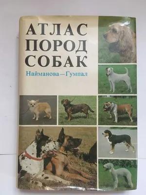 Атлас пород собак: Кане-корсо кане…» — создано в Шедевруме