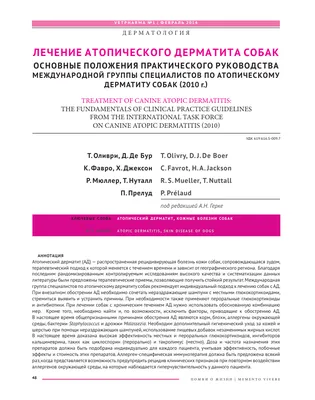 Аллергический блошиный дерматит (АБД) кошек и собак | Ветеринарная клиника  доктора Шубина