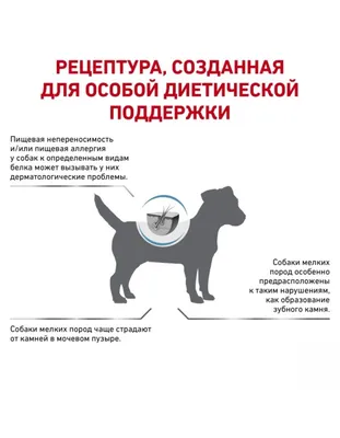 Veterinarian online consultant/Ветеринарна онлайн консультація