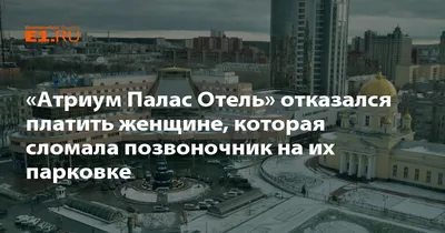 Совладелец «Атриум Палас Отеля» банкротит дочернюю компанию — РБК