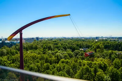 Красивейшие сады и парки Санкт-Петербурга