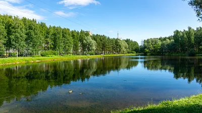 Приморский парк Победы, Санкт-Петербург - «Супер парк для отдыха и  развлечений. Покажу парк в разное время года. Чем тут можно заняться помимо  любования природой?» | отзывы