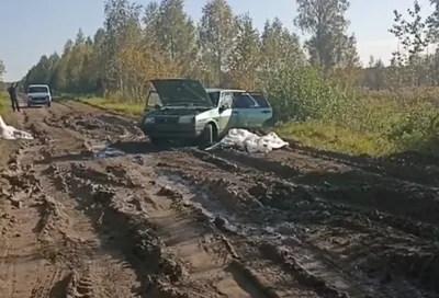 В Омской области произошло смертельное ДТП - РИА Новости, 07.01.2023