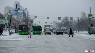 Новорожденного мальчика нашли в лесу в Омской области - Газета.Ru | Новости