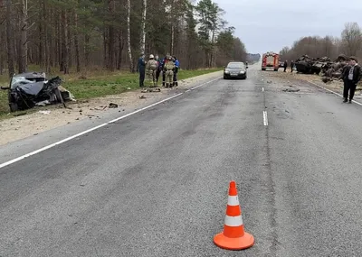 В Смоленской области 33-летний водитель погиб после столкновения с животным  | glavnayatema.com