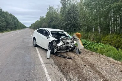 Разорвало в клочья: страшная авария унесла жизни четверых человек в  Хабаровском крае - KP.RU