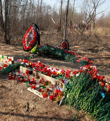 Польское СМИ: Россия заменила тела жертв авиакатастрофы под Смоленском -  Новости Калининграда