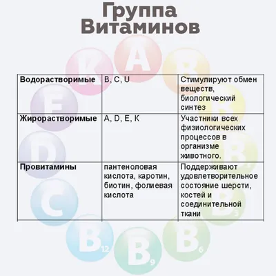 Авитаминоз у кошек - лечение, диагностика | Ветклиника Берлога