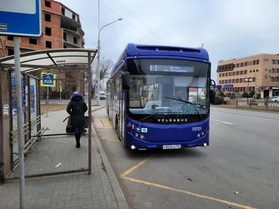 Добрый автобус» начал проводить бесплатные промоэкскурсии для москвичей /  Новости города / Сайт Москвы