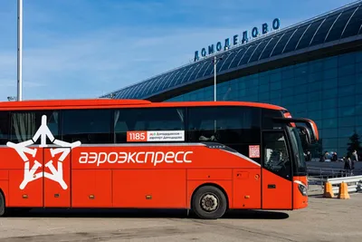 Автобус школьный ЕТАЛОН А08116Ш-0000040-10 (ID#1356107483), цена: 3400000  ₴, купить на Prom.ua