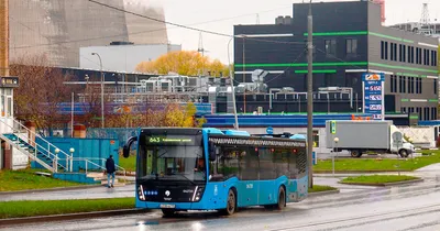 В Москве с 20 ноября 2021 меняют номера автобусов и добавляют новые  маршруты - KP.RU