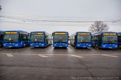 В Крым из Москвы на автобусе. Новый взгляд и море впечатлений - РИА Новости  Крым, 16.06.2022