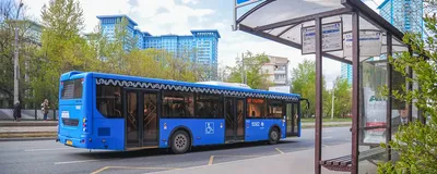 Автобусы City Sightseeing - Москва 2024 | DiscoverMoscow.com