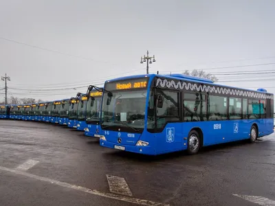 Автобусы без турникетов появятся еще на четырех маршрутах в Москве | МОЙ  РАЙON